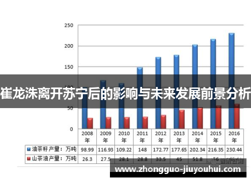 崔龙洙离开苏宁后的影响与未来发展前景分析