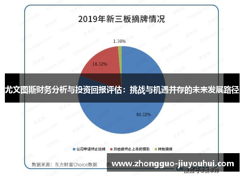 尤文图斯财务分析与投资回报评估:挑战与机遇并存的未来发展路径