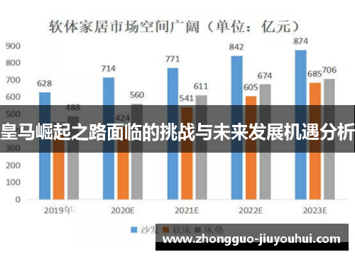 皇马崛起之路面临的挑战与未来发展机遇分析