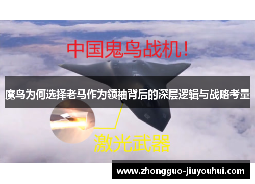 魔鸟为何选择老马作为领袖背后的深层逻辑与战略考量