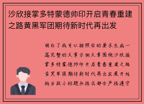 沙欣接掌多特蒙德帅印开启青春重建之路黄黑军团期待新时代再出发