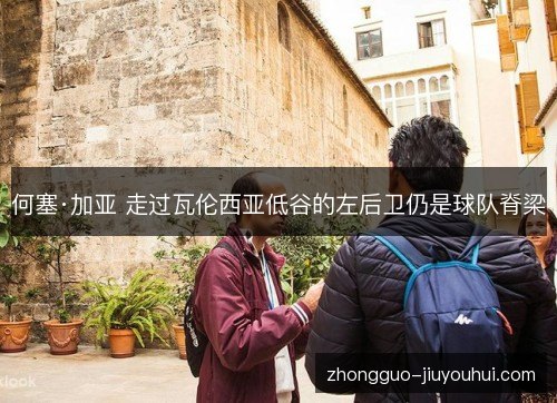 何塞·加亚 走过瓦伦西亚低谷的左后卫仍是球队脊梁 何塞·加亚 走过瓦伦西亚低谷的左后卫仍是球队脊梁